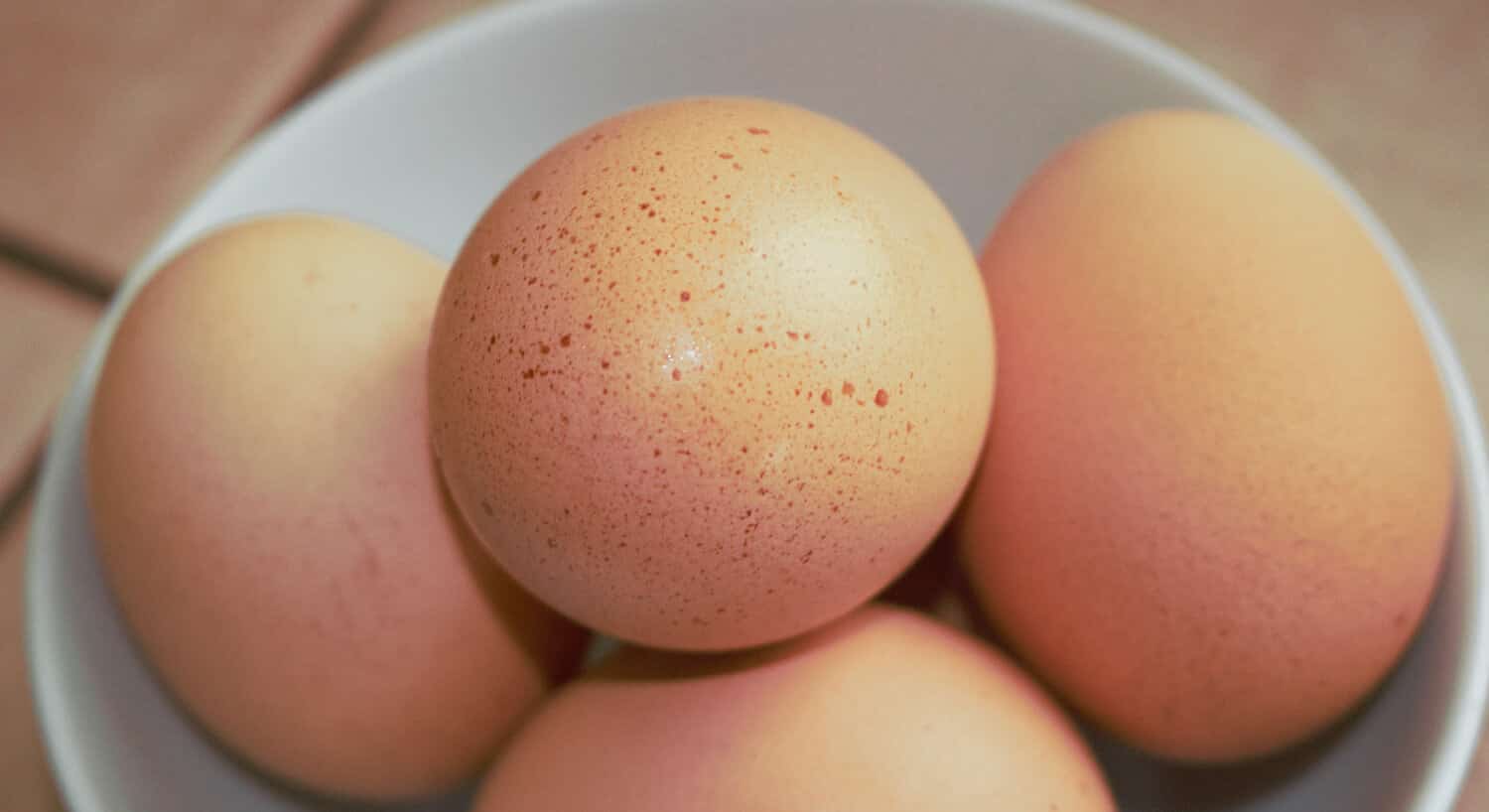 Perfect farm fresh speckled brown eggs in a white stoneware bowl
