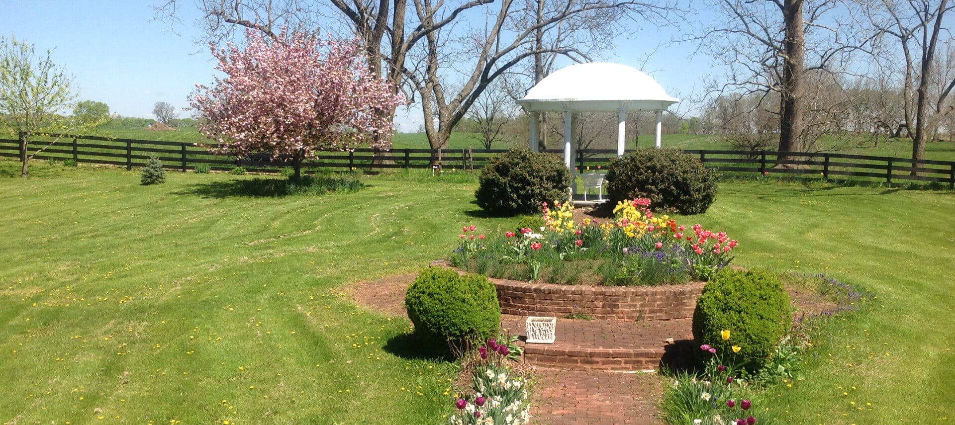 White gazebo in garden with pink blossom tree and colorful flower beds